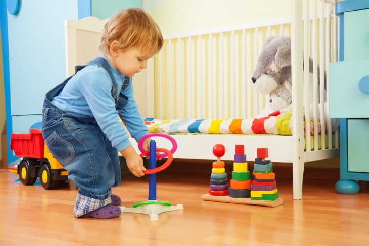 Nhiếp ảnh gia động vật hoang dã của năm